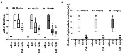 Midazolam Attenuates Esketamine-Induced Overactive Behaviors in Mice Before the Sedation, but Not During the Recovery